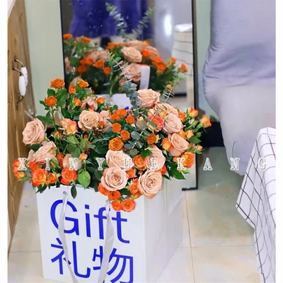 痴心不悔